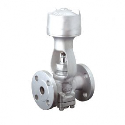 Van piston máy lưu hóa cao su VP3W-FR