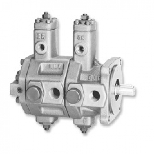 Bơm cánh gạt kép SVPDF series