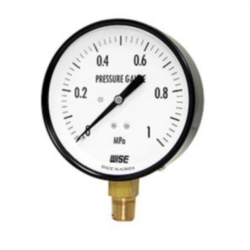 Đồng hồ khí WISE P110